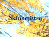 Skinartistry
